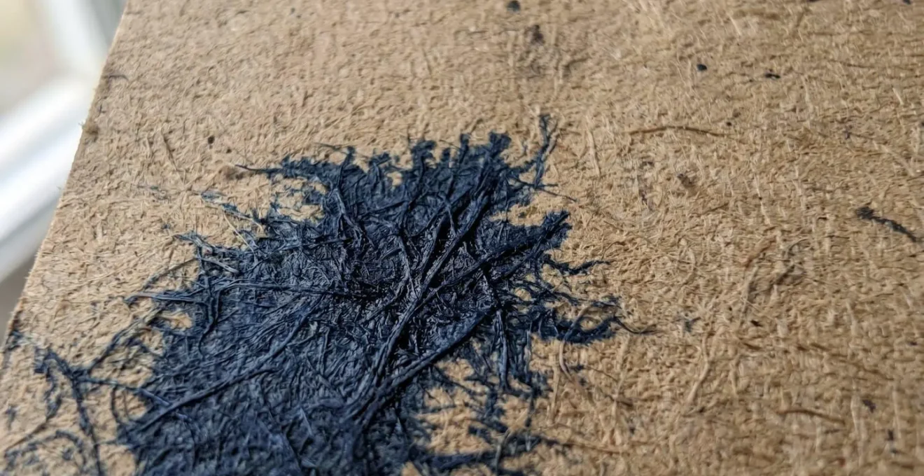 Gros plan sur une zone imprimée d'un sac kraft naturel montrant la texture des fibres du papier et l'encre absorbée